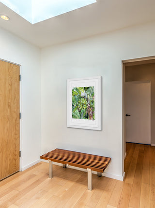 "Banana Tree" Framed Print by Rachel Byler