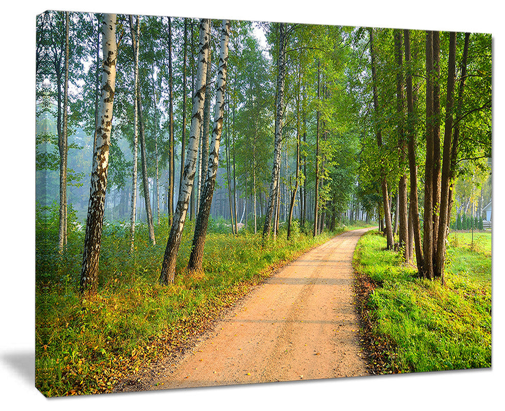 "Road in Green Morning Forest" Landscape Canvas Photo Print, 20"x12"