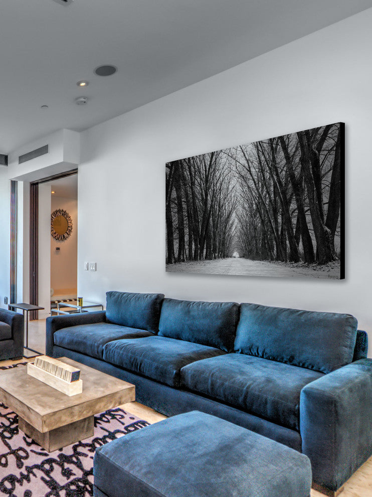 "Rows of Trees" Print on Brushed Aluminum, 60"x40"