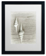 Cora Niele 'Two White Shells' Matted Framed Art