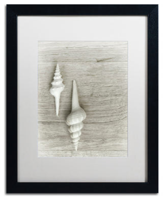 Cora Niele 'Two White Shells' Matted Framed Art