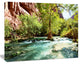 Green Spring Creek in Mountains, Landscape Wall Art on Canvas, 40"x30"