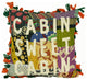 Cabin Sweet Cabin - Kantha Pillow