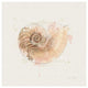 "Shell Collector II" Digital Paper Print by Katie Pertiet, 26"x26"