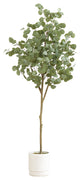 6ft. Artificial Eucalyptus Tree with White Decorative Planter