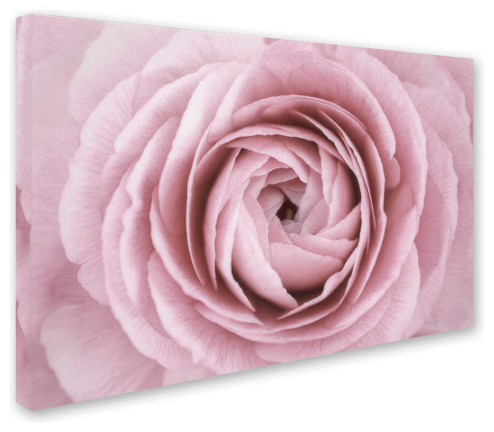 Cora Niele 'Persian Buttercup' Canvas Art