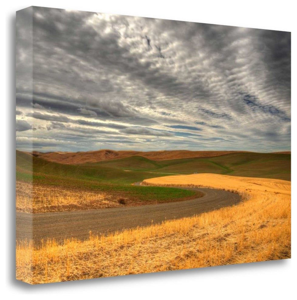 "Yin Yang" By Dan Patch, Giclee Print on Gallery Wrap Canvas, Ready to Hang
