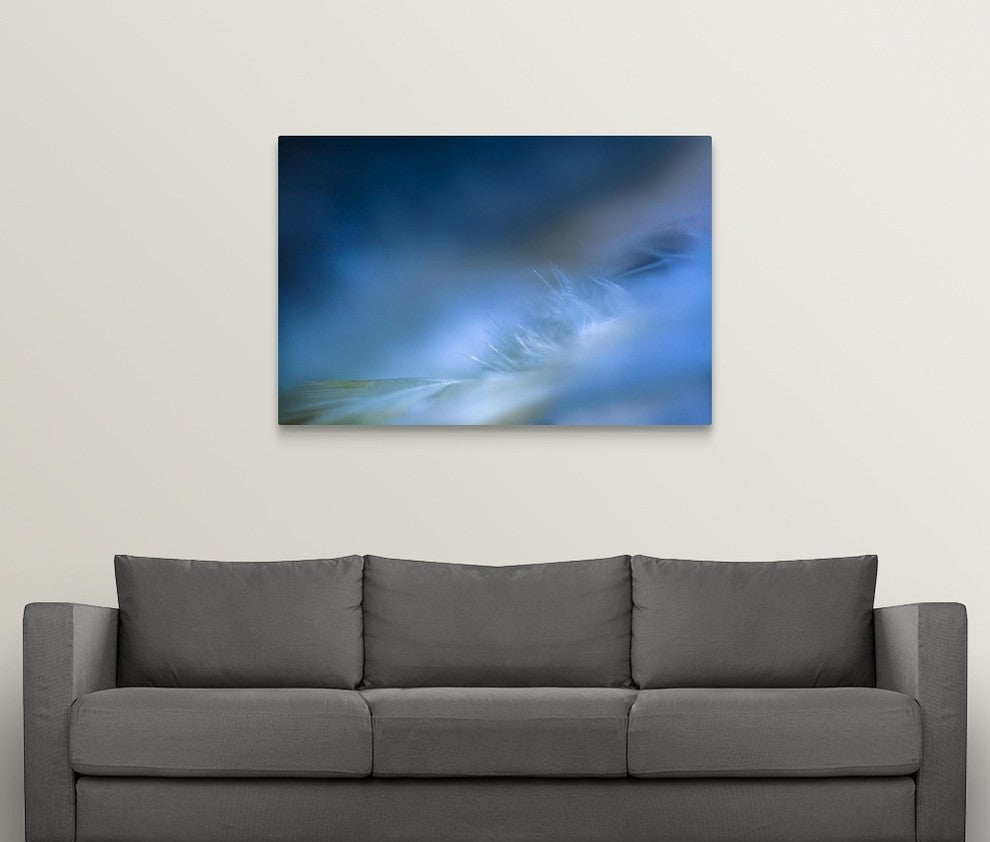 "Delicate I" Wrapped Canvas Art Print, 48"x32"x1.5"