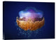 "Fried Egg Jellyfish" Stretched Canvas Giclee by Luckyguy, 16"x12"