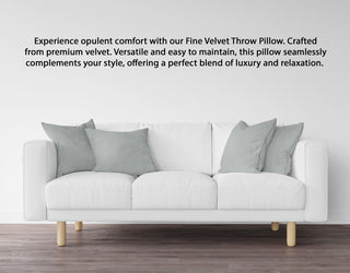 A1HC Throw Pillow Insert, Down Alternative Fill, Single, Dove Grey, 24"x24"