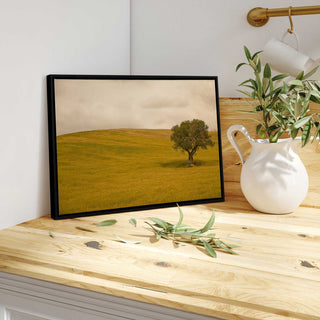 "Tuscan Fields' Charm" - A Touch of Italian Rusticity for Elegant Interiors
