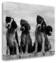 "Wonder" By Sharon Beals, Giclee Print on Gallery Wrap Canvas, Ready to Hang