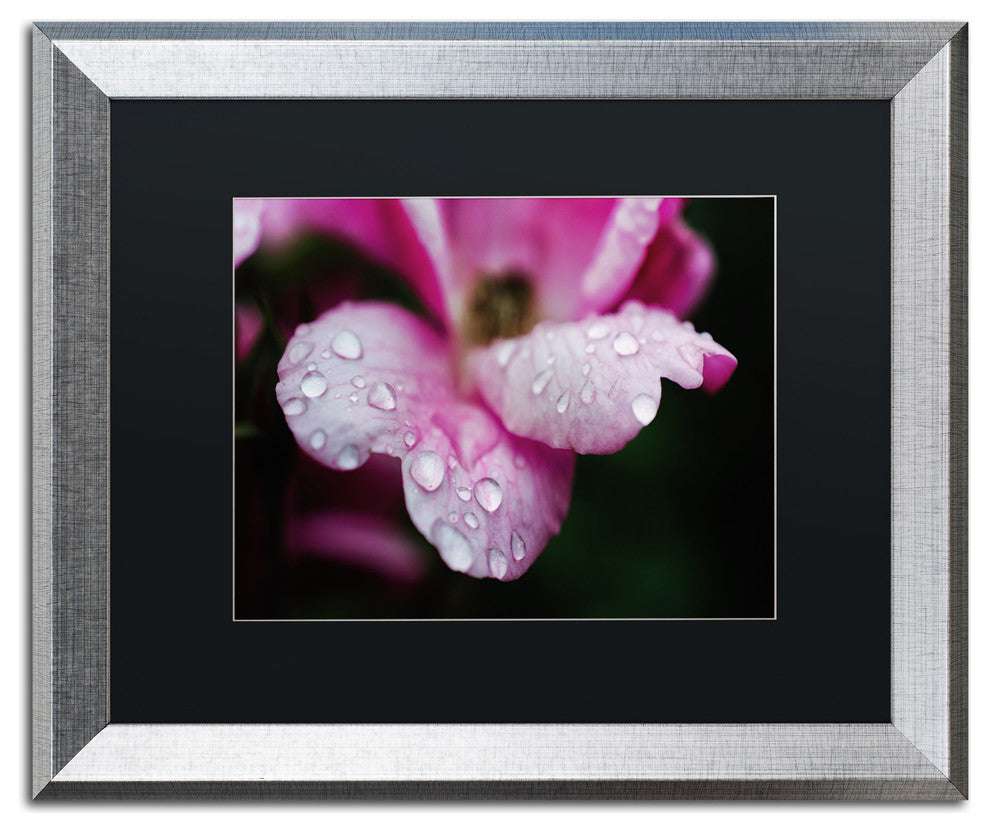 PIPA Fine Art 'Raindrops on Wild Rose Color' Matted Framed Art, 20x16