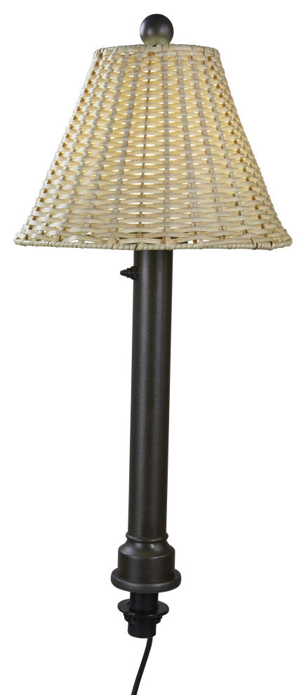 19-770 Umbrella Table Lamp 19777 With 2" Black Tube Body