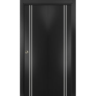 Bi-fold Doors 48 x 96 | Planum 0310 Matte Black with  | Sturdy Tracks