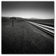 ''Low'' Canvas Art by Dave MacVicar