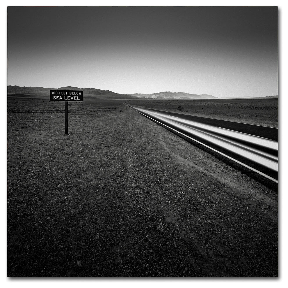 ''Low'' Canvas Art by Dave MacVicar