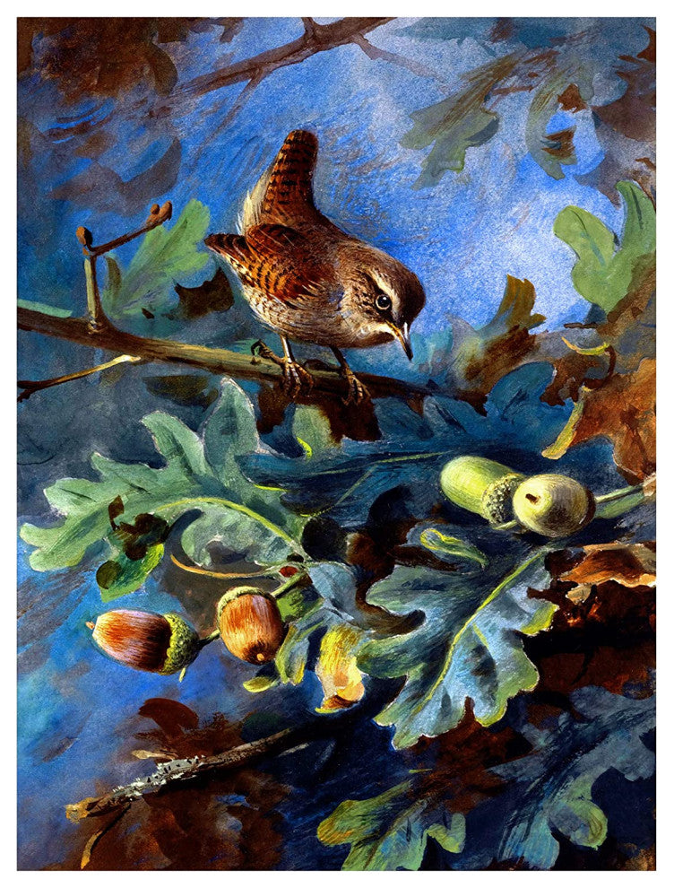 Tile Mural WREN oak acorns branches Accent Backsplash Ceramic Glossy