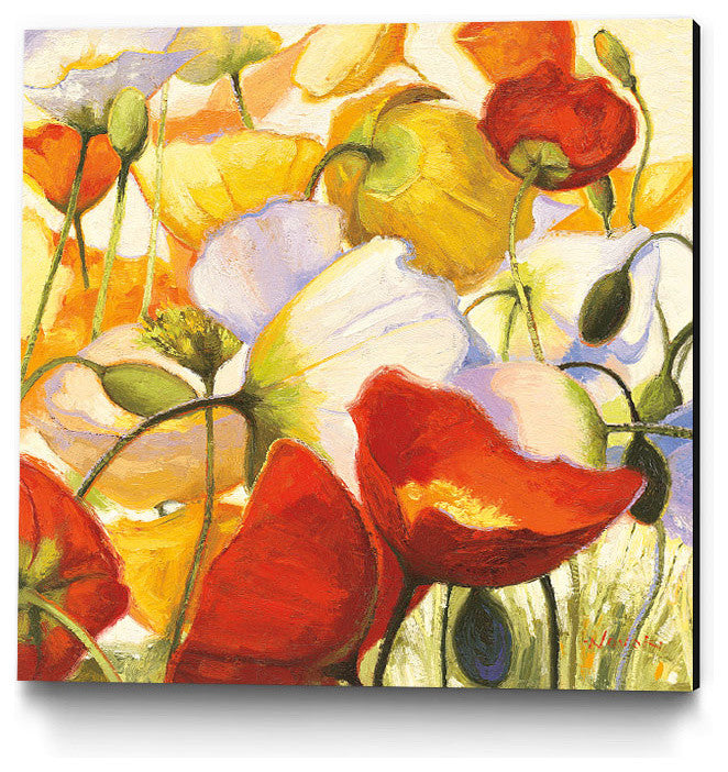 "Poppies Up Close " Museum Mounted Canvas Print, 30"x30"