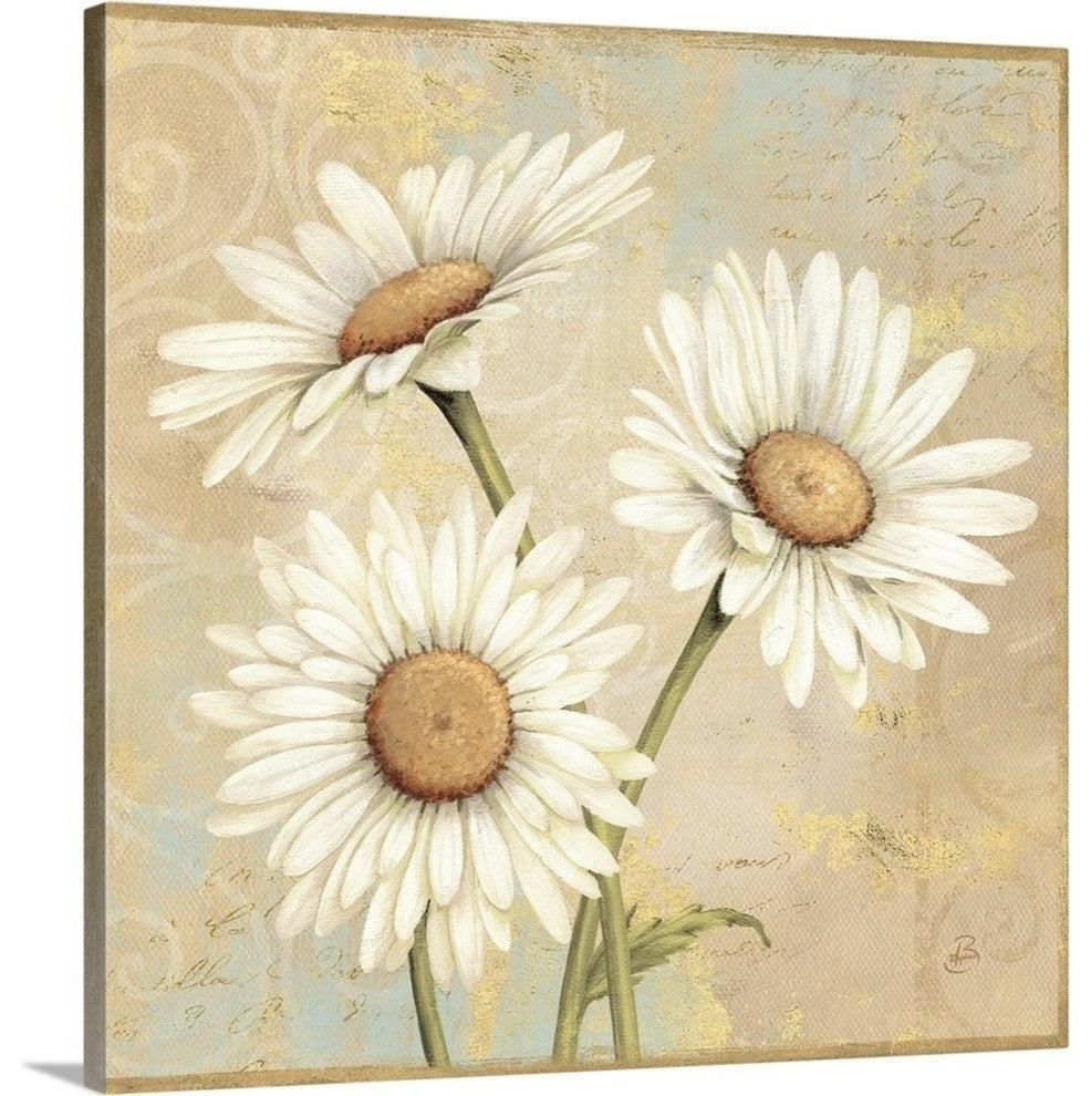 "Beautiful Daisies I " Wrapped Canvas Art Print, 30"x30"x1.5"