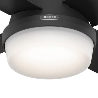 Hunter 52" Dempsey Matte Black Ceiling Fan, LED Kit, Remote