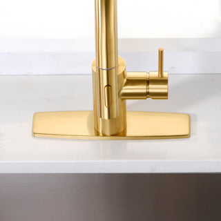 Luxier Kitchen Faucet Single-Hole Deck Plate, 10", Brushed Gold