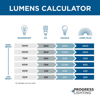 Progress Lighting 2-100W Medium Semi-Flush, Black