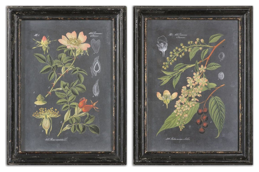 Uttermost Midnight Botanicals Wall Art Set of 2
