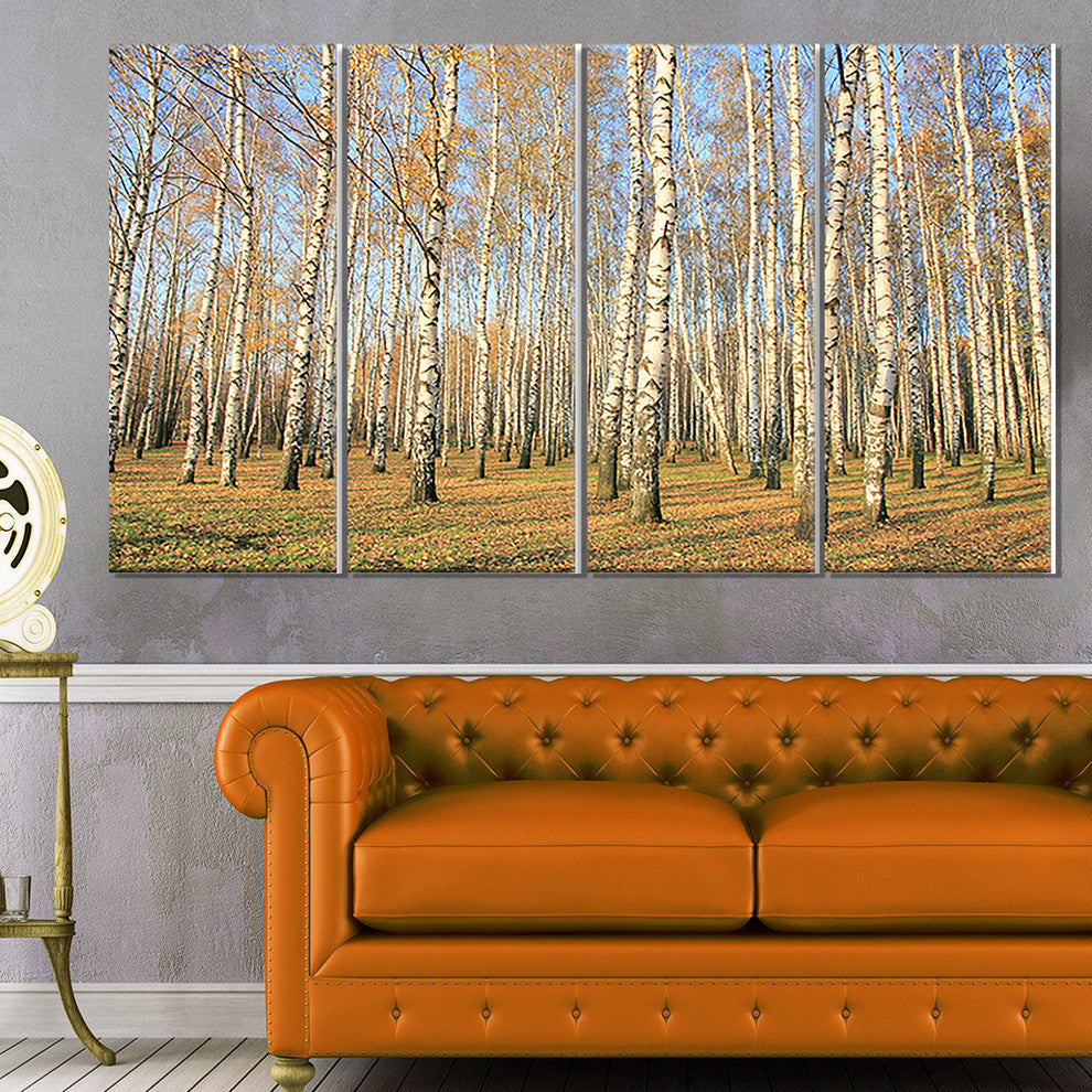 Autumn Birch Grove in Sunlight, Modern Forest Canvas Art, 48"x28", 4 Panels