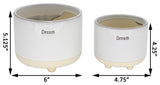 6In and 4.75, Text Dream Ceramic Footed Planter, Set of 2