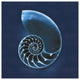 "Cyanotype Sea II" Digital Paper Print by Sue Schlabach, 42"x42"