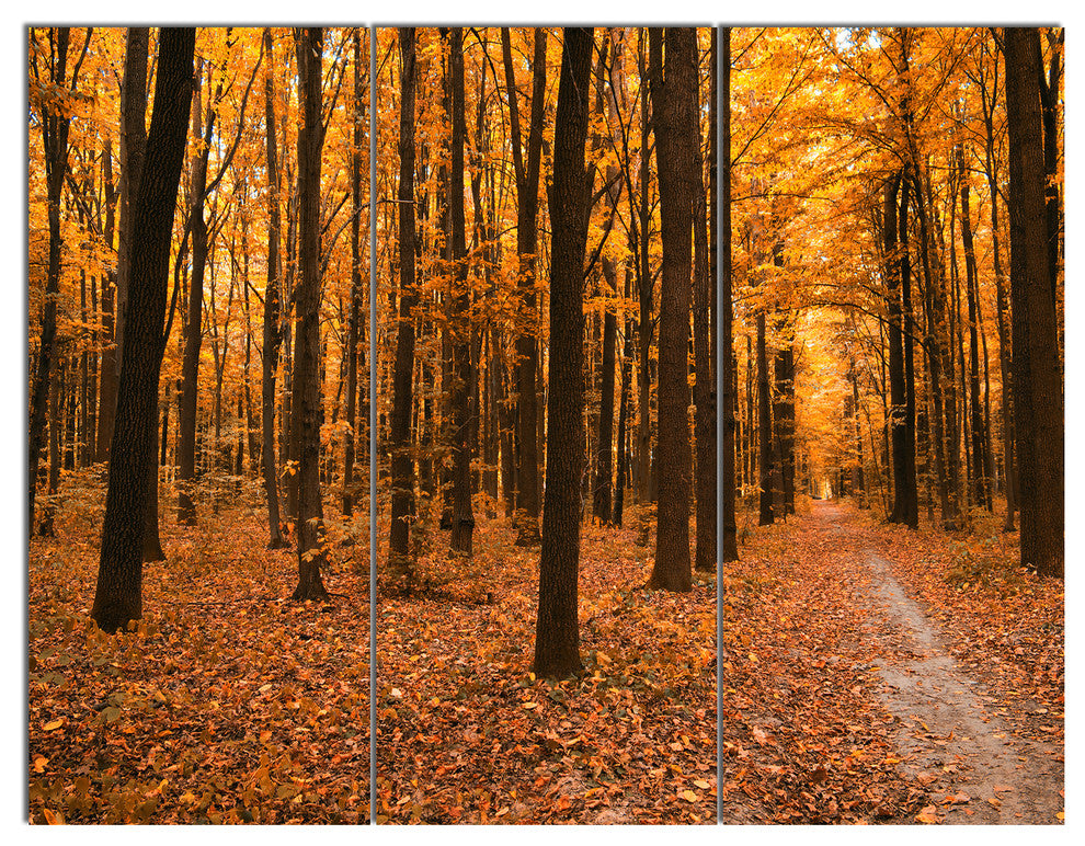 Yellow Trees and Fallen Leaves, Modern Forest Canvas Art, 36x28, 3 Panels