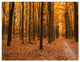 Yellow Trees and Fallen Leaves, Modern Forest Canvas Art, 36x28, 3 Panels