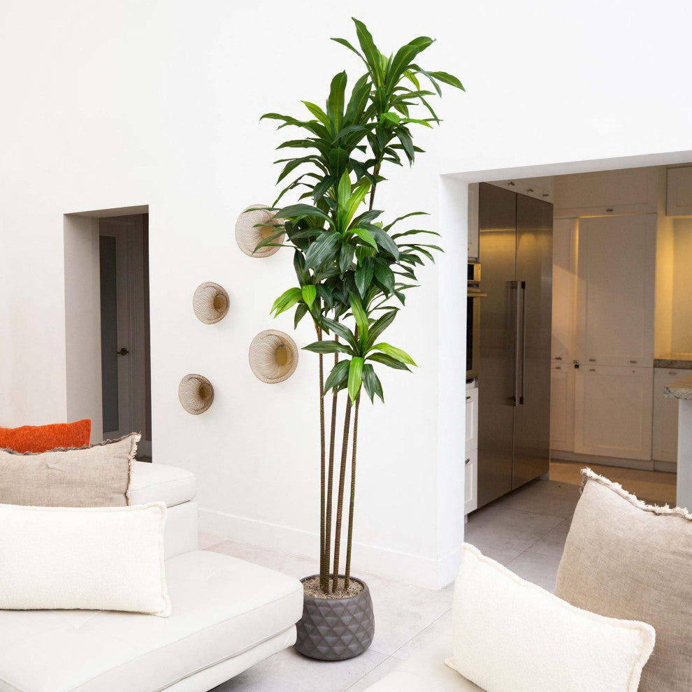 8ft. Artificial Dracaena Tree With Real Touch Leaves