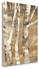 "Wandering Through The Birches II" By Albena Hristova, Gallery Wrap Canvas