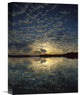 "American Alligator- Nine Mile Pond, Everglades National Park, Florida" Artwork