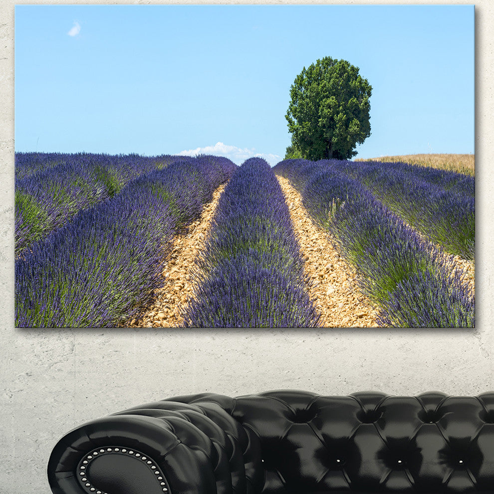 Beautiful Rows of Lavender in France, Landscape Canvas Wall Art, 40"x30"