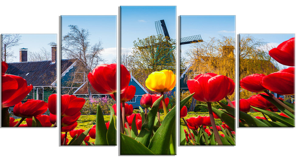 Tulips in the Netherlands Village, Large Floral Canvas Print, 60"x32", 5 Panels