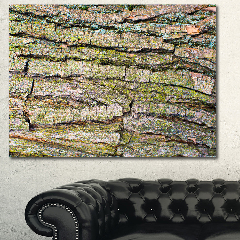 Thick Tree Skin Close Up, Floral Canvas Art Print, 40"x30"