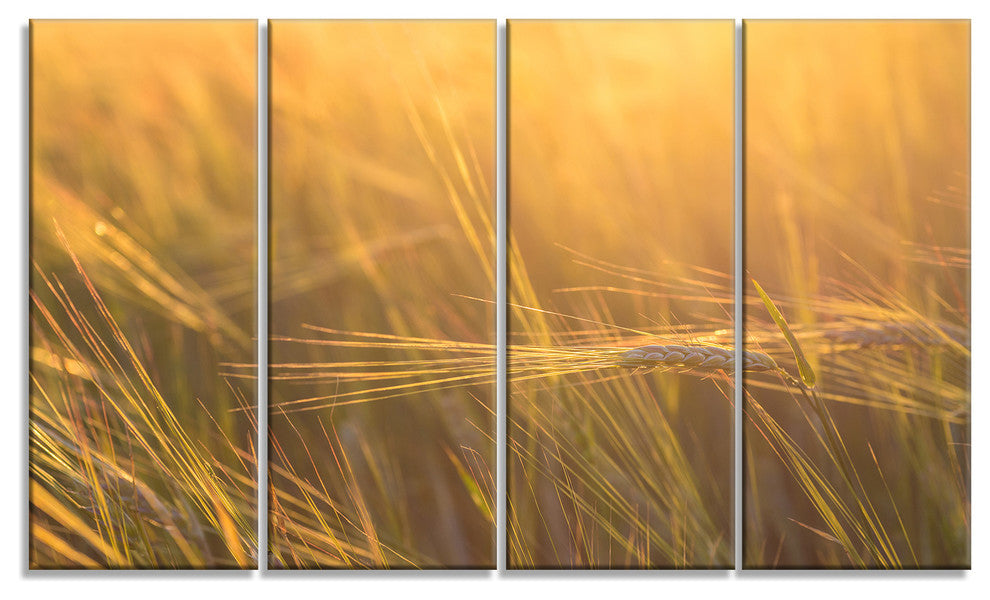 Wheat Field Close up at Sunset, Large Landscape Canvas Art, 48"x28", 4 Panels