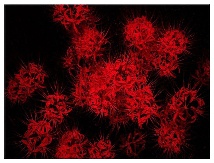 Scarlet Autumn' Canvas Wall Decor