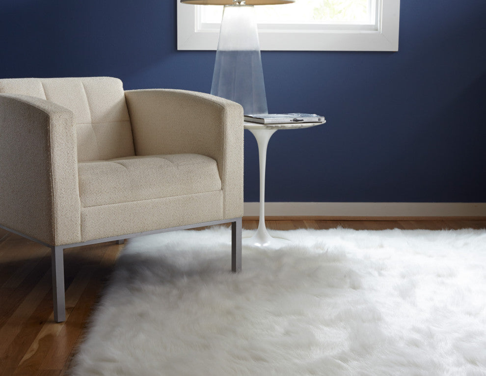 Danso Shag DA-04 Ivory Area Rug, 3'x5'