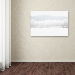 'Abstract Winter Beaver Marsh' Canvas Art by Kurt Shaffer