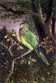 John OBrien Inman A Parrot on a Branch, 18"x27" Wall Decal