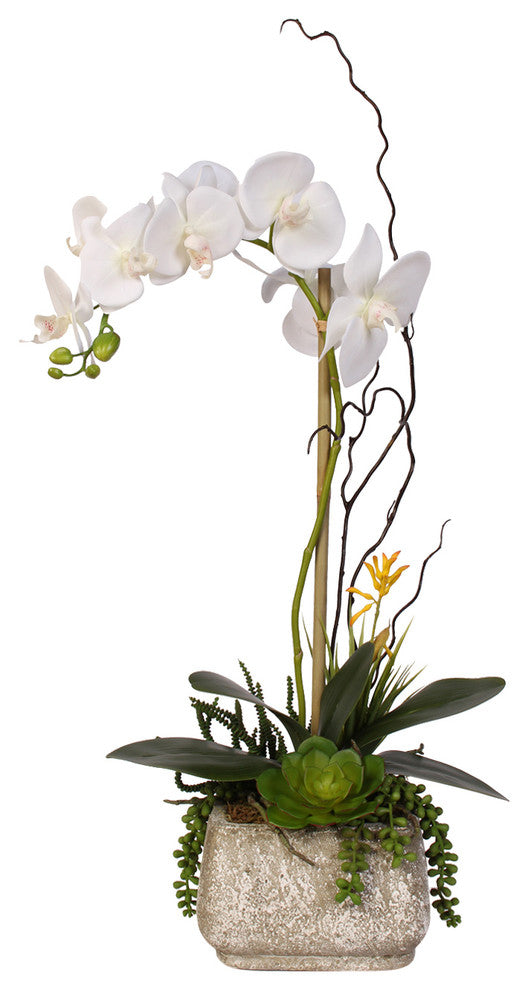 Real Touch Phalaenopsis Silk Orchid With Succulents in a Cement Pot