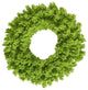 24" Flocked Lime Fir Wreath 150T