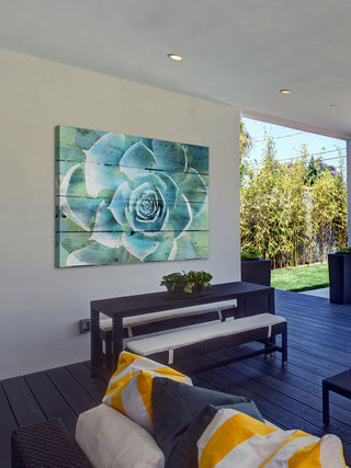 "Succulent Extravaganza" Painting Print on Canvas by Irena Orlov