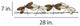 Dragonflies On A Wire Brown