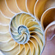 "Swirl" Wood, 45"x45"