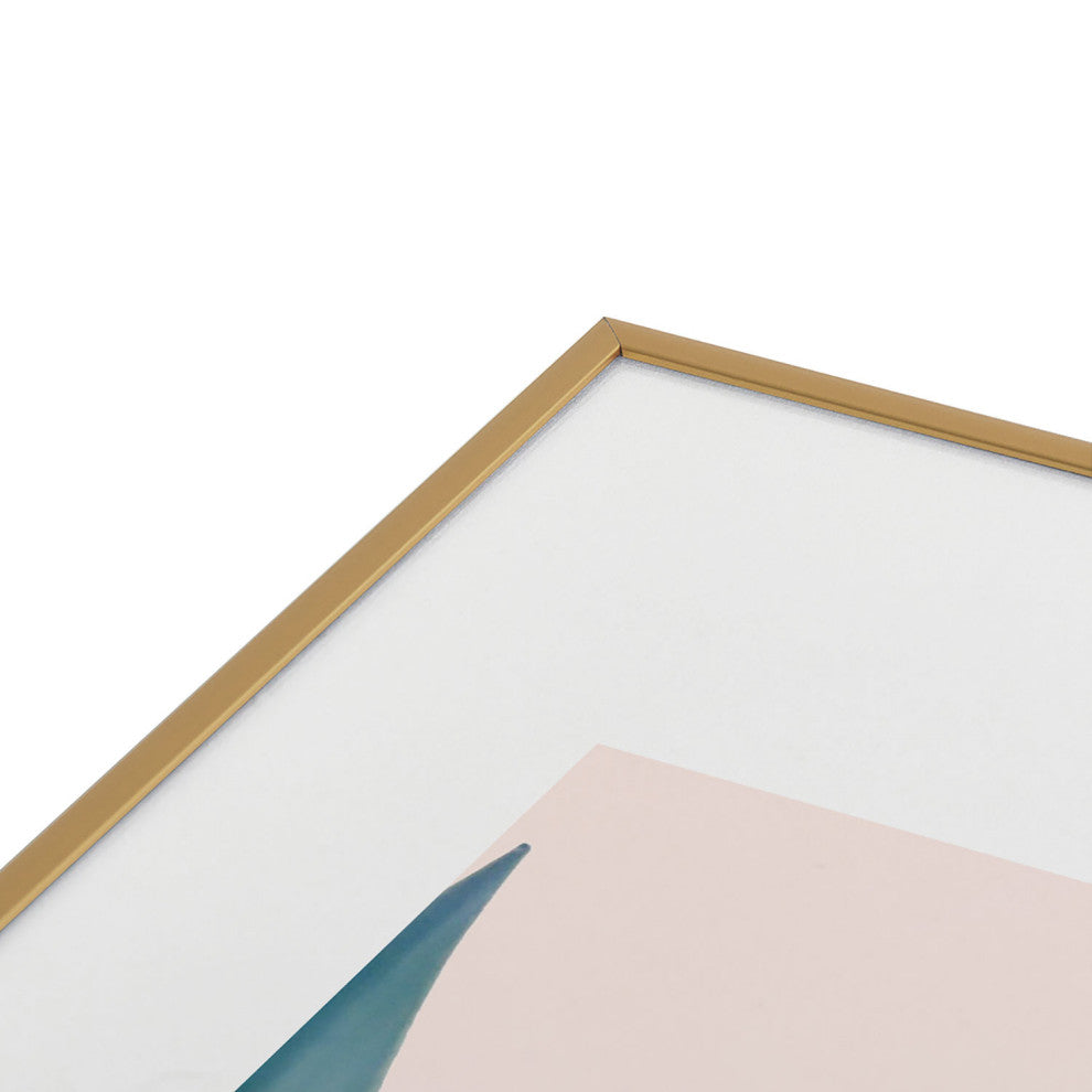 Gale Switzer Agave Flare II peach Metal Framed Art Print